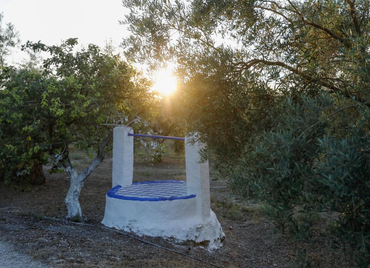Cortijo Botanico El Cerro Villa กาบรา ภายนอก รูปภาพ